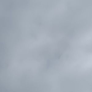 Meet your Posher, Miriam